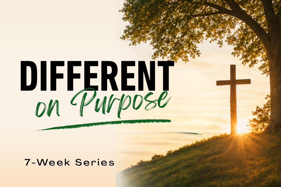 Different on Purpose Sermon Series